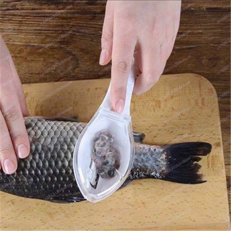 Artefact de grattage d'écaille - Kitchen Gadgets Popular avis et prix