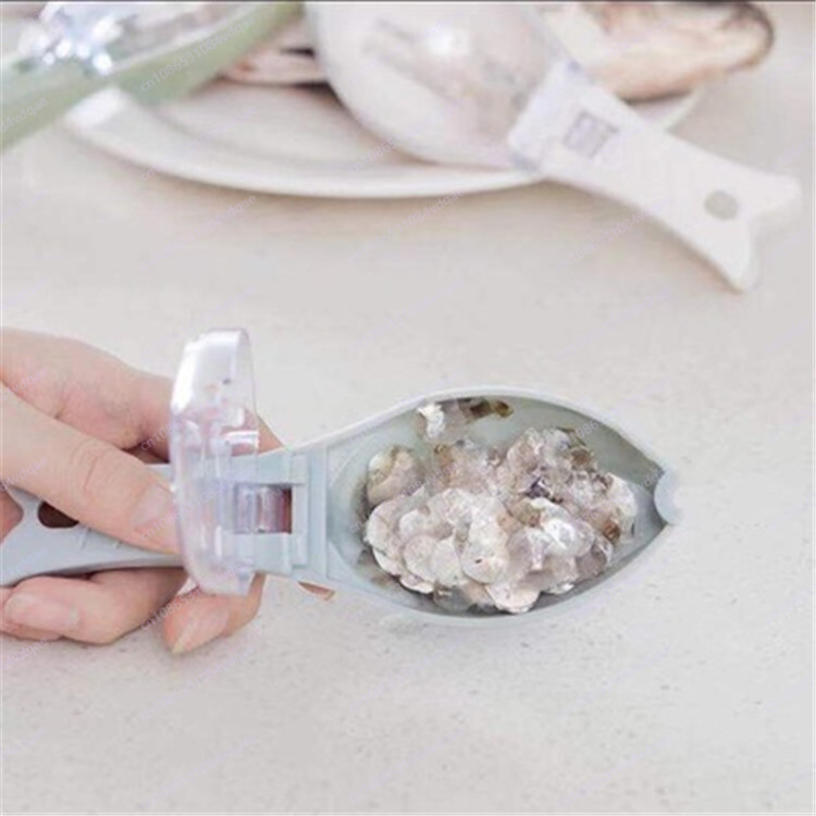 Artefact de grattage d'écaille - Kitchen Gadgets Popular avis et prix